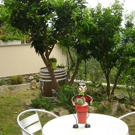 La Dolce Noli