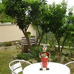 La Dolce Noli