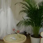 La Dolce Noli
