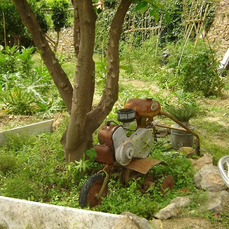 La Dolce Oda ve Kahvaltı Noli